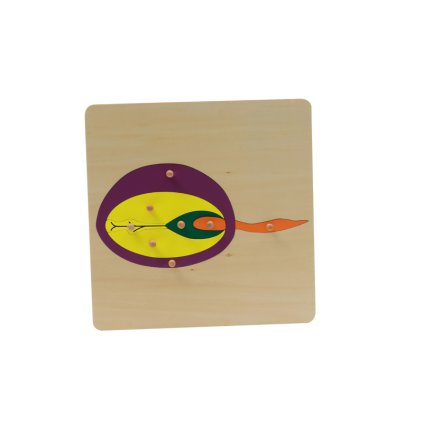 ADENA MONTESSORI Puzzle semeno