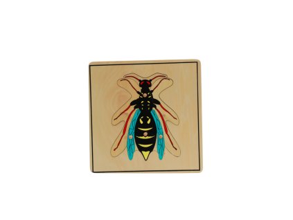 ADENA MONTESSORI Puzzle vosa
