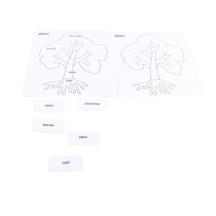 ADENA MONTESSORI Aglické karty pro puzzle strom