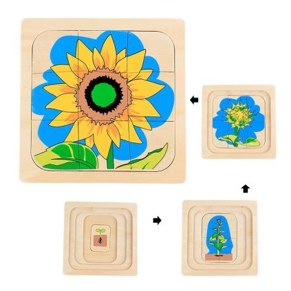 ADENA MONTESSORI Vrstvené puzzle životní cyklus slunečnice