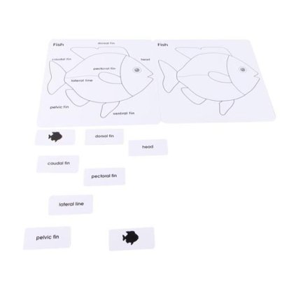 ADENA MONTESSORI Anglické karty pro puzzle ryba