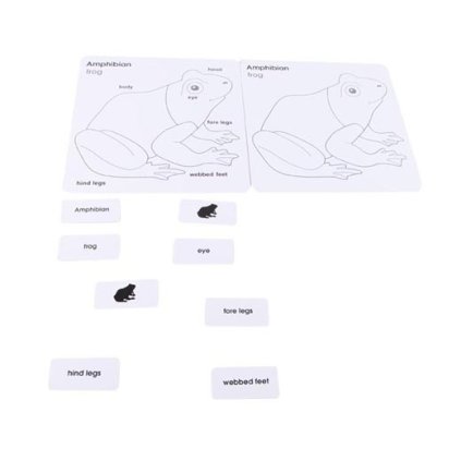 ADENA MONTESSORI Anglické karty pro puzzle žába