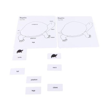 ADENA MONTESSORI Anglické karty pro puzzle želva