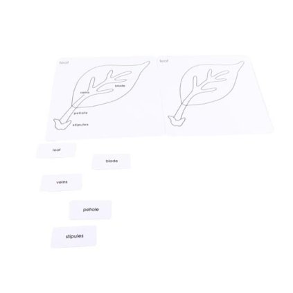 ADENA MONTESSORI Anglické karty pro puzzle list
