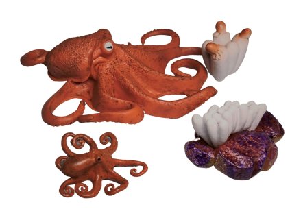 ANIMAL LIFE figurky životní cyklus Chobotnice