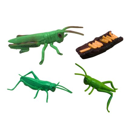ANIMAL LIFE figurky životní cyklus Kobylka