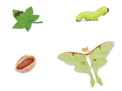ANIMAL LIFE figurky životní cyklus Můra
