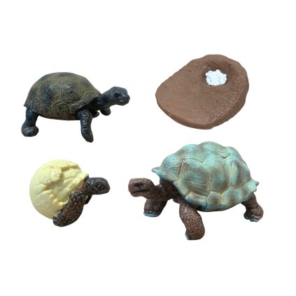 ANIMAL LIFE figurky životní cyklus Želva suchozemská