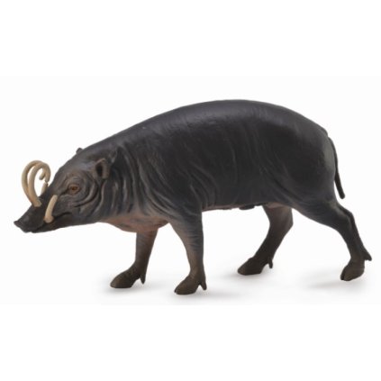 COLLECTA figurka Babirusa Sulaweská