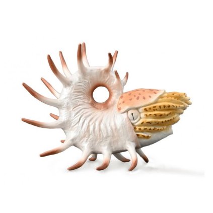 COLLECTA figurka Cooperoceras