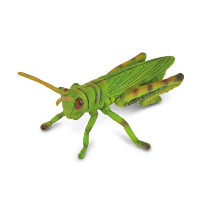 COLLECTA figurka Kobylka luční