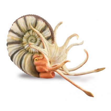 COLLECTA figurka Pleuroceras