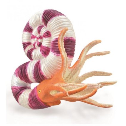 COLLECTA figurka Pravitoceras