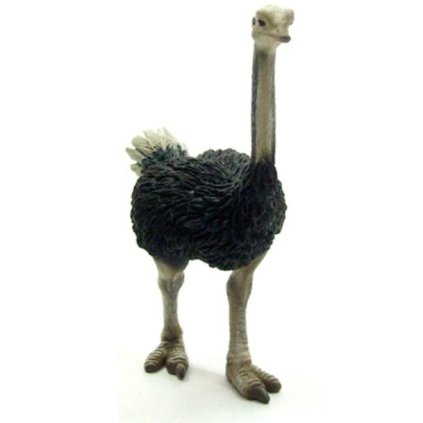 COLLECTA figurka Pštros dvouprstý