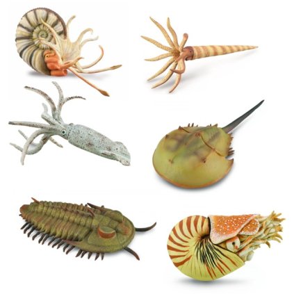 COLLECTA sada figurek Prehistorická vodní zvířata