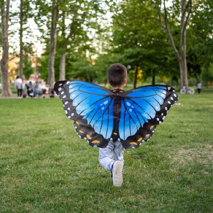 INSECT LORE Motýlí křídla babočka modrá