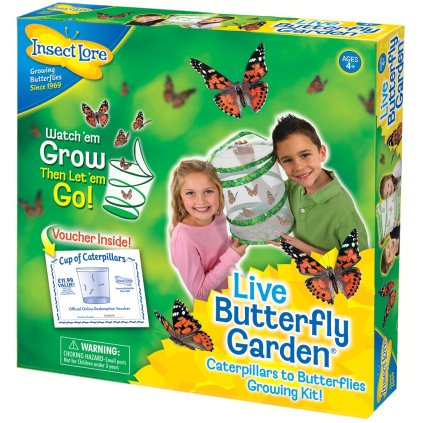 INSECT LORE Motýlí zahrádka kompletní sada (3-5 housenek)