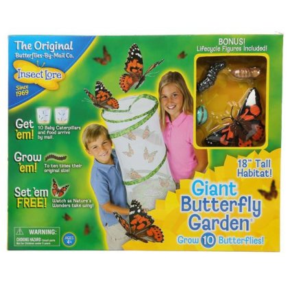 INSECT LORE Velká motýlí zahrádka kompletní sada (6-10 housenek) + figurky životní cyklus motýla