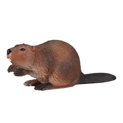 387078 Beaver 3 500x500