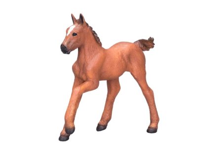 381019 Arabian Foal Chestnut 2 500x500