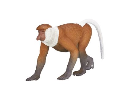 387176 Proboscis Monkey 2 500x500