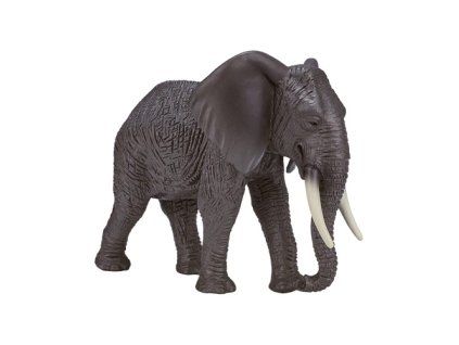 387189 African Elephant 3 500x500