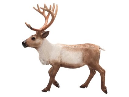 387186 Reindeer 1 500x500