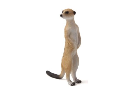 MOJO FUN figurka Surikata