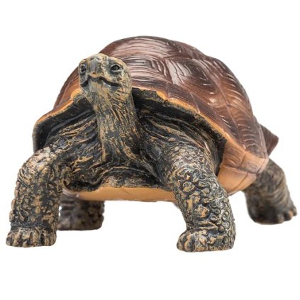 387259 Giant Turtle 5 500x500