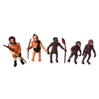 Sada Životní cyklus ČLOVĚK