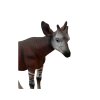 COLLECTA figurka Okapi
