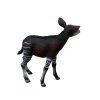 COLLECTA figurka Okapi mládě