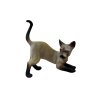 COLLECTA figurka Siamská kočka - škrábající