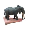 COLLECTA figurka Slon africký
