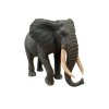 COLLECTA figurka Slon africký