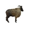 COLLECTA figurka Tahr himálajský