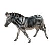 COLLECTA figurka Zebra Grévyho