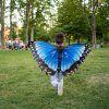 INSECT LORE Motýlí křídla babočka modrá