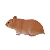 387236 Hamster 3 500x500