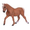387395 Morgan Stallion Palomino 5 500x500