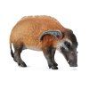 COLLECTA figurka Štětkoun africký