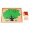 ADENA MONTESSORI Počítání jablek