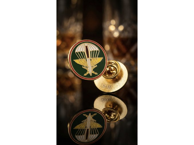 MO76 -Odznak 102. pzpr