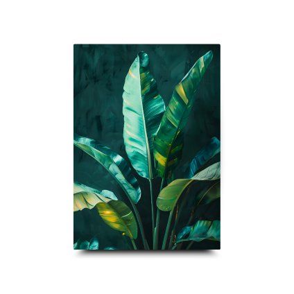 50x70cm