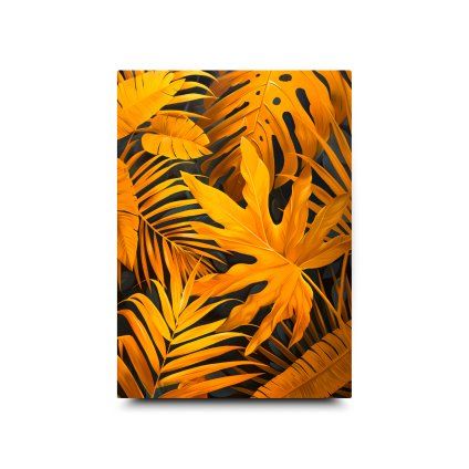 50x70cm