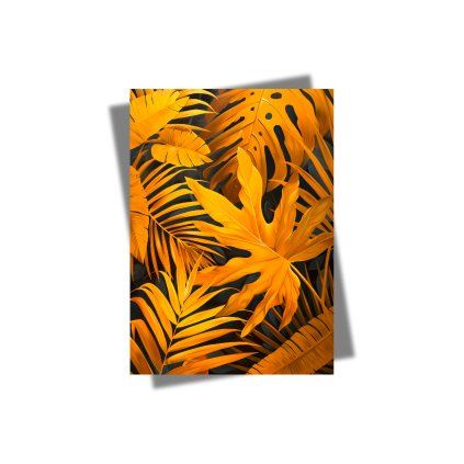 50x70cm