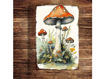 Plechová vintage cedule. Muchomůrka červená. 30 x 20 cm