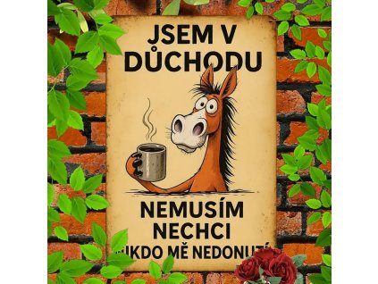 2D Plechová cedule Nic nemusím 30 x 20 cm