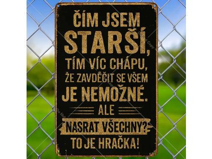 2D Plechová cedule Porozumění 30 x 20 cm