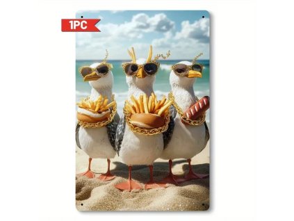 2D Plechová  cedule 30 x 20 cm RACCI